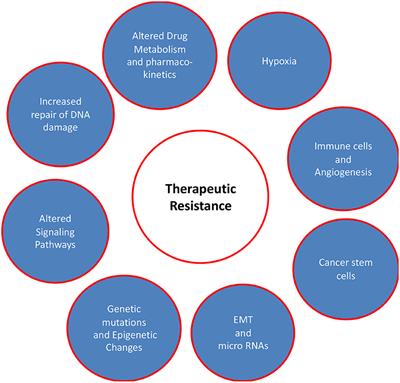 Major Molecular Signaling Pathways in Oral Cancer Associated With Therapeutic Resistance